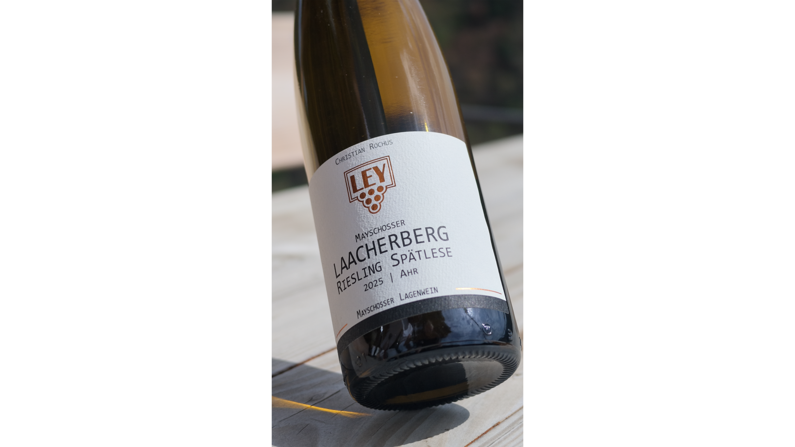 Laacherberg Riesling Spätlese im Weinberg