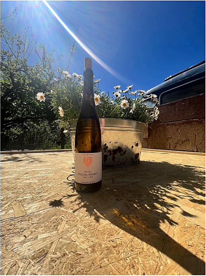 LEY Riesling mit Blick auf die Ahr-Weinberge
