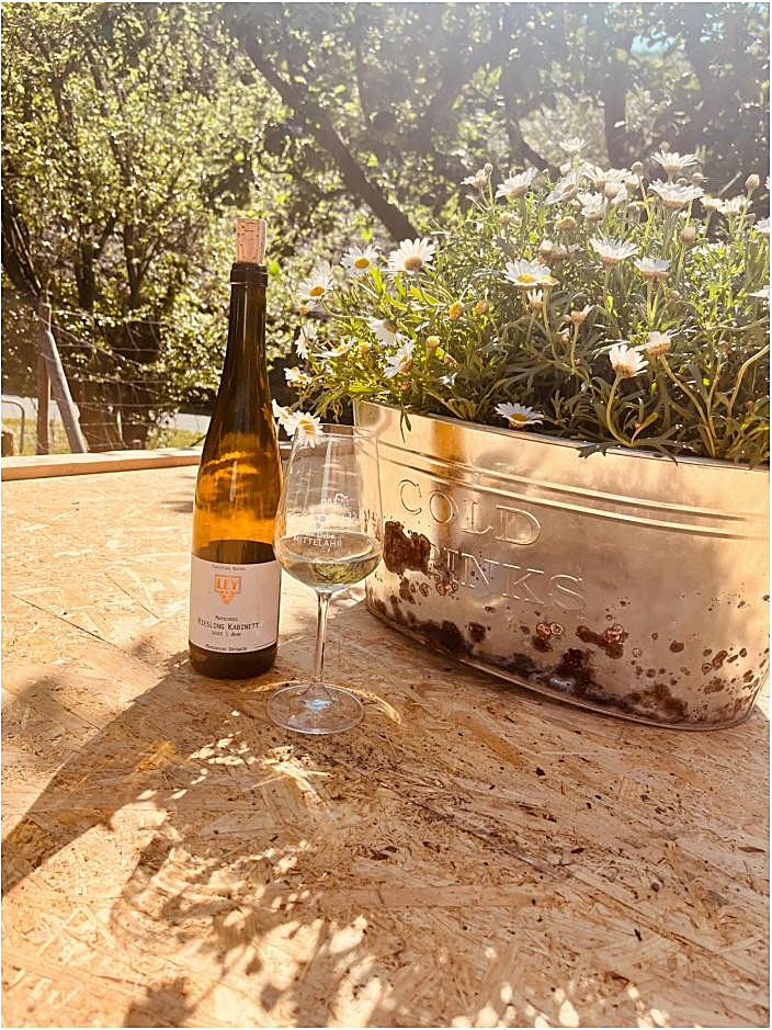 Blick über die Weinberge bei Mayschoß