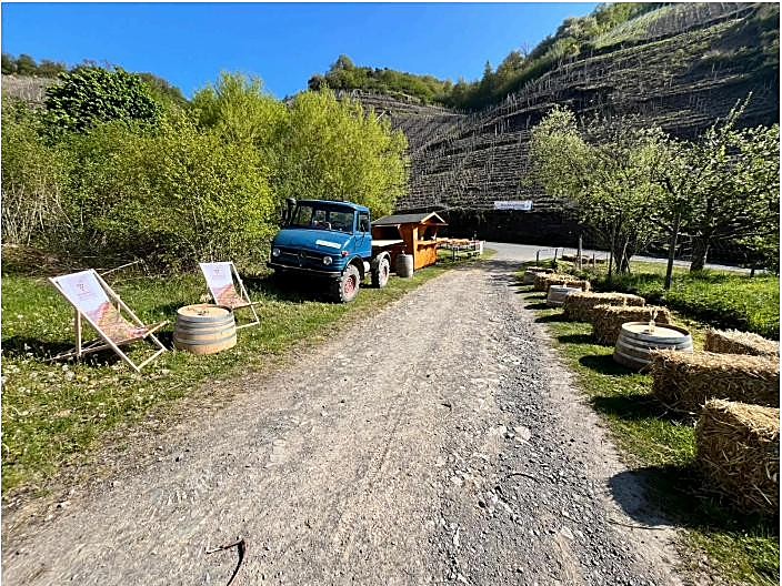 Steile Terrassenlagen oberhalb von Mayschoß an der Ahr